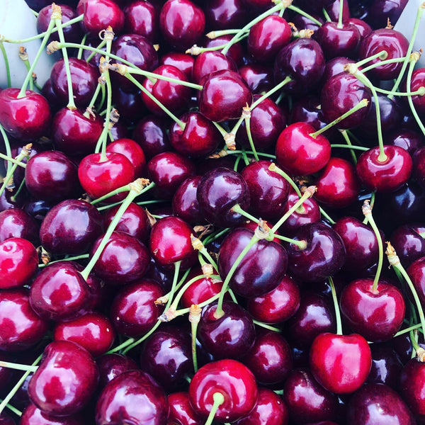 Organic Dried Cherries
